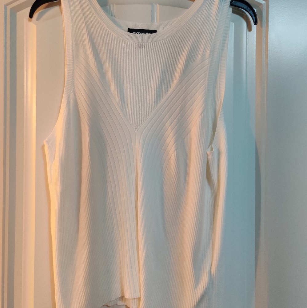 NWOT Express Sleeveless Sweater